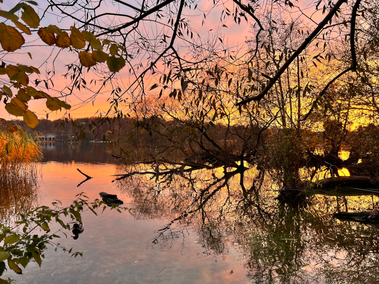 lake2021